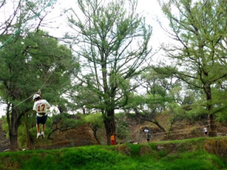 Volando sobre el camp